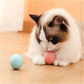 Rechargeable Smart Rolling Cat  Ball Toy