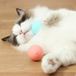 Rechargeable Smart Rolling Cat  Ball Toy