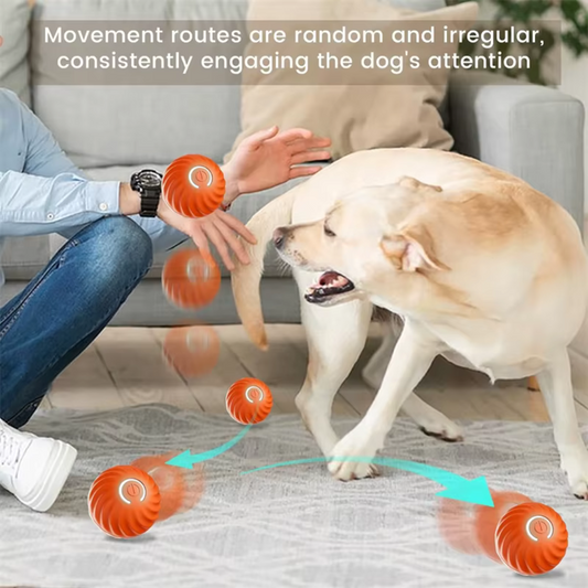 Rechargeable Smart Rolling Cat  Ball Toy