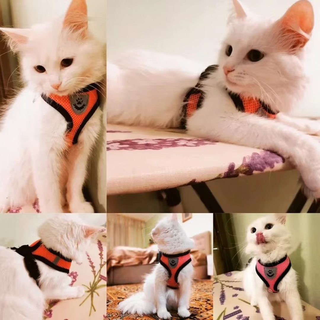 Adjustable Mesh Cat & Dog Harness with Leash