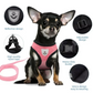 Adjustable Mesh Cat & Dog Harness with Leash