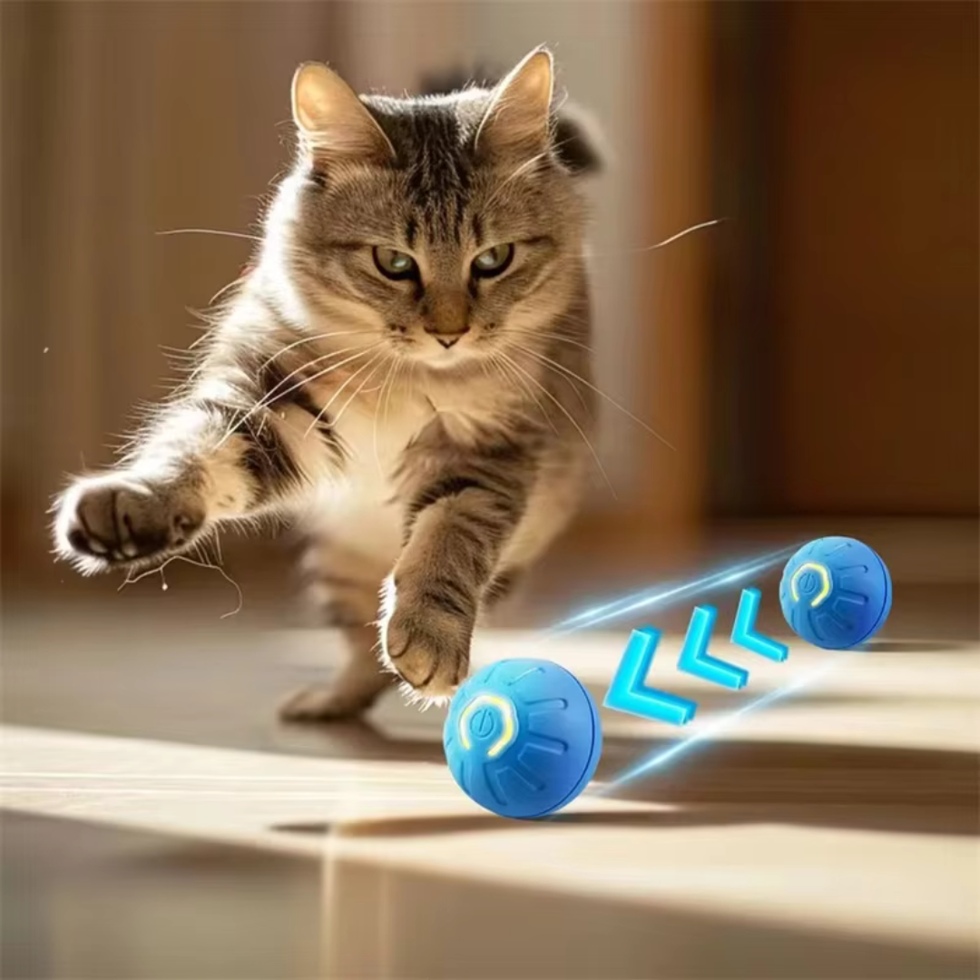 Rechargeable Smart Rolling Cat  Ball Toy