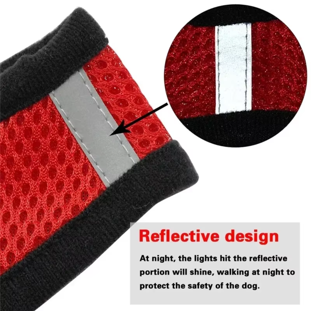 Adjustable Mesh Cat & Dog Harness with Leash