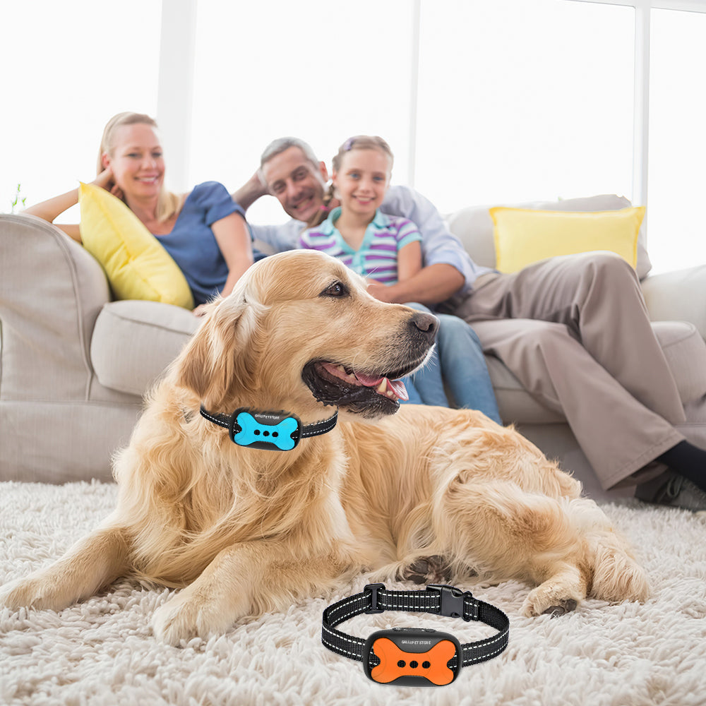 Anti-Barking Dog Training Collar