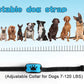 Pet Dog Anti Barking Device USB Rechargeable