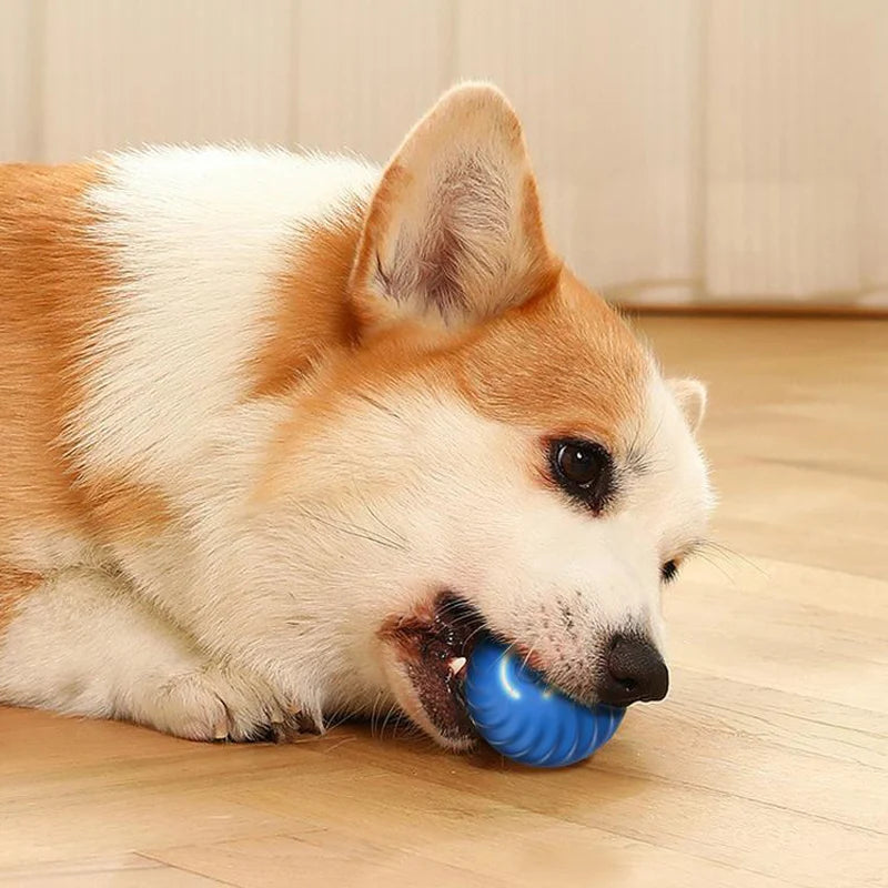 Interactive Dog Chew Toy Ball for Puppy Ball Toys