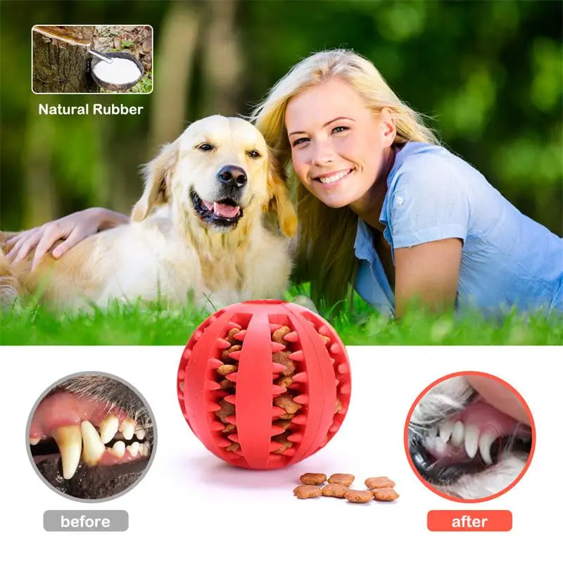 Interactive Rubber Dog Food Ball Pet Dog Toy