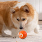 Interactive Dog Chew Toy Ball for Puppy Ball Toys