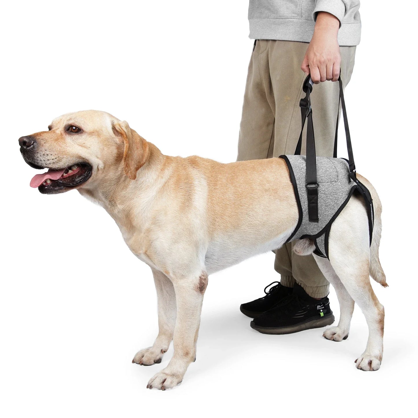 Dog Lift Harness for Large Dogs