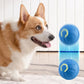 Interactive Dog Chew Toy Ball for Puppy Ball Toys